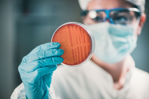 Microbiologist observing a Petri dish