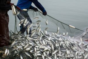 Fishing net