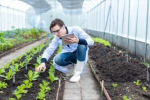 Agricultural greenhouse researcher