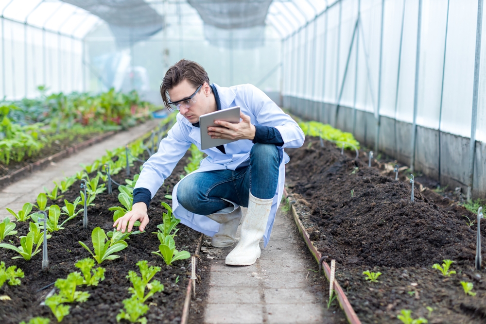 Investigador em estufa agrícola