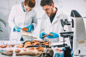 jovem arqueólogo compara a cor da cerâmica com o esquema da tabela de cores em laboratório.