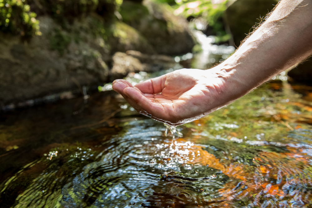 Hand scooping water from water stream