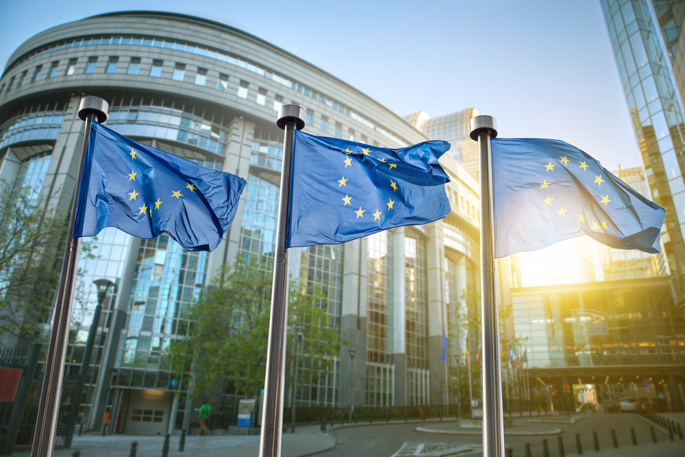 European Union Flag Against Parliament