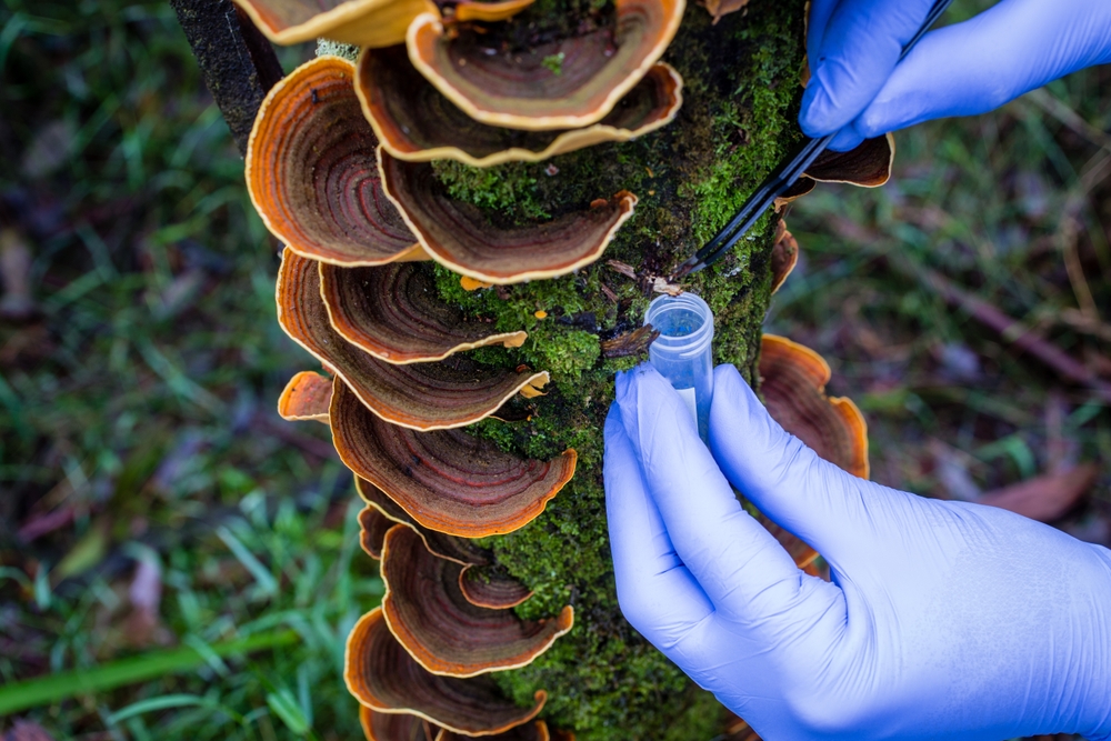 Researcher taking samples