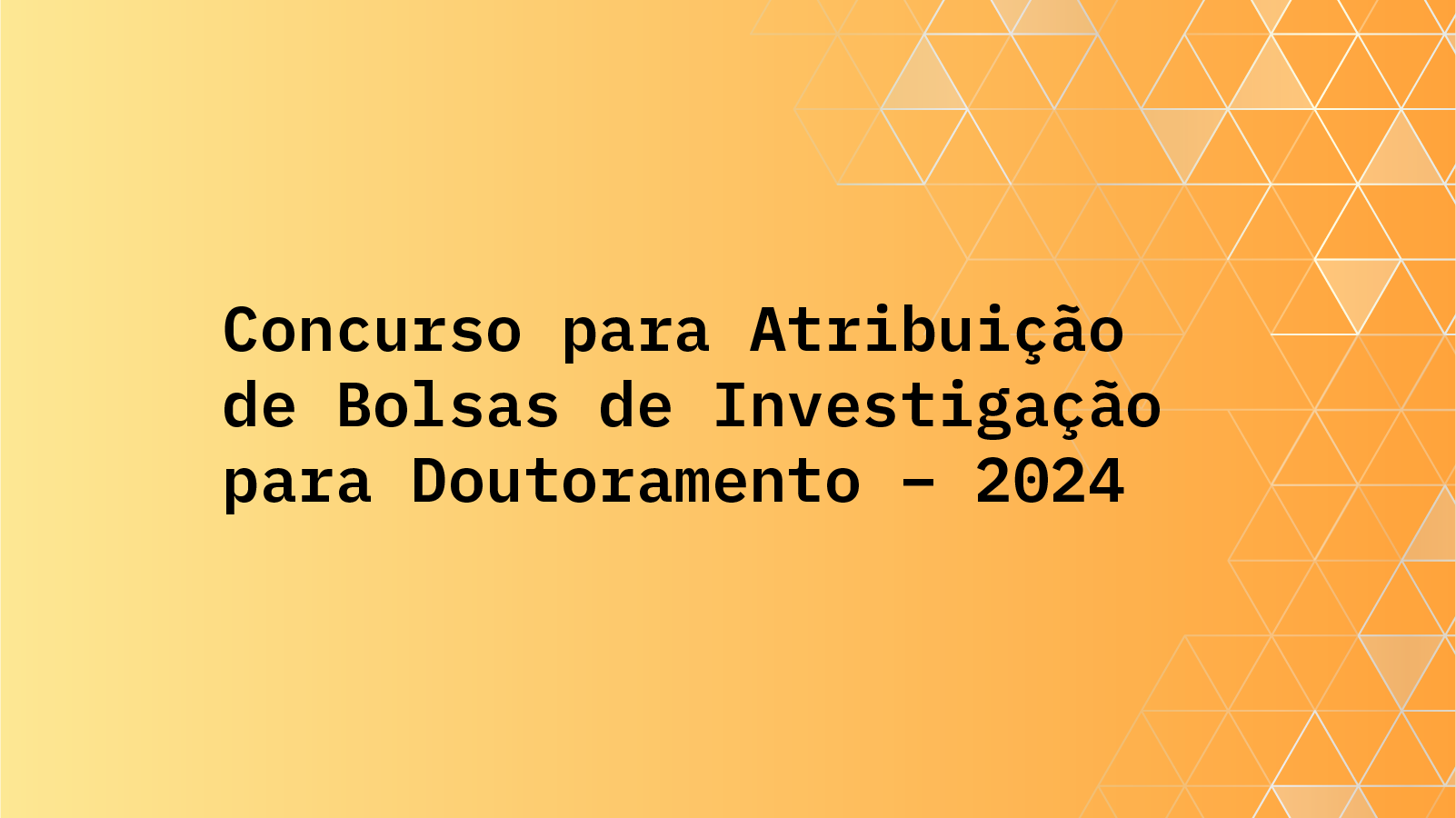 Concurso Bolsas de Doutoramento em todos os domínios científicos 2024