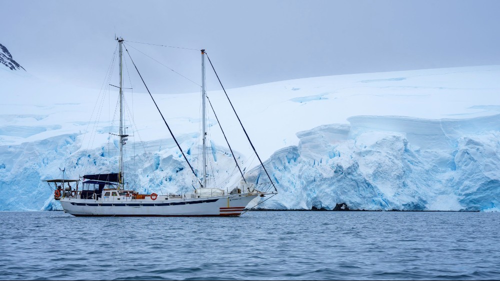 Coastantar 2024 expedição científica portuguesa na Península Antártica