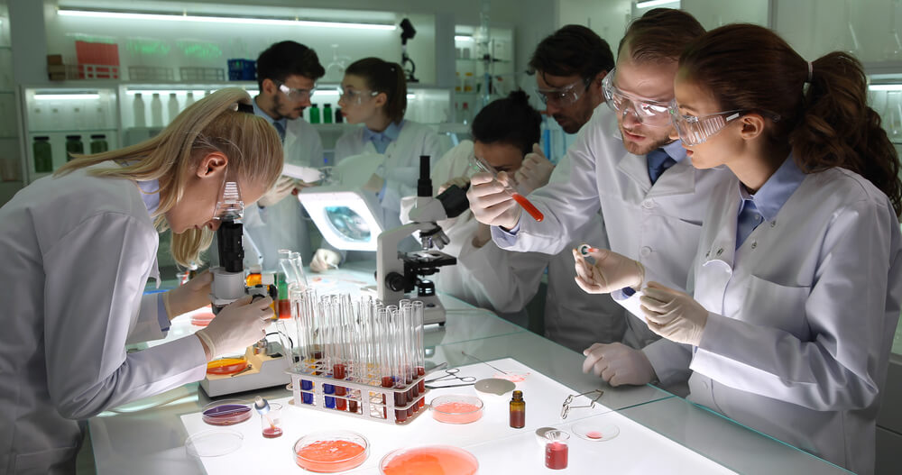 Equipa de investigadores a trabalhar num ambiente de laboratório