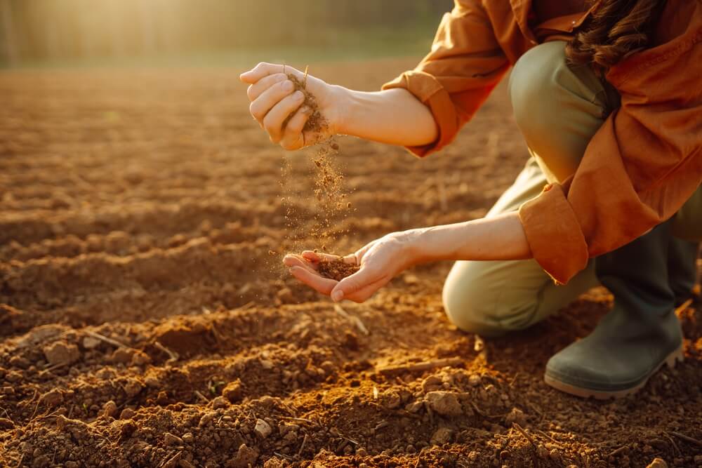 Jovem agricultora examina o solo com as mãos
