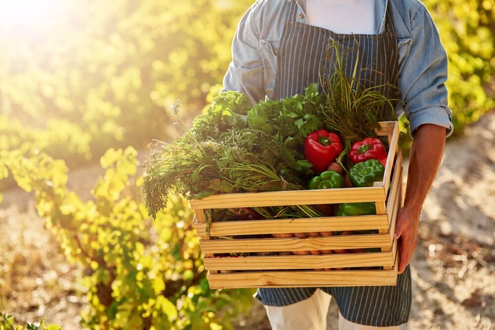 Producer carrying a wooden box with vegetables