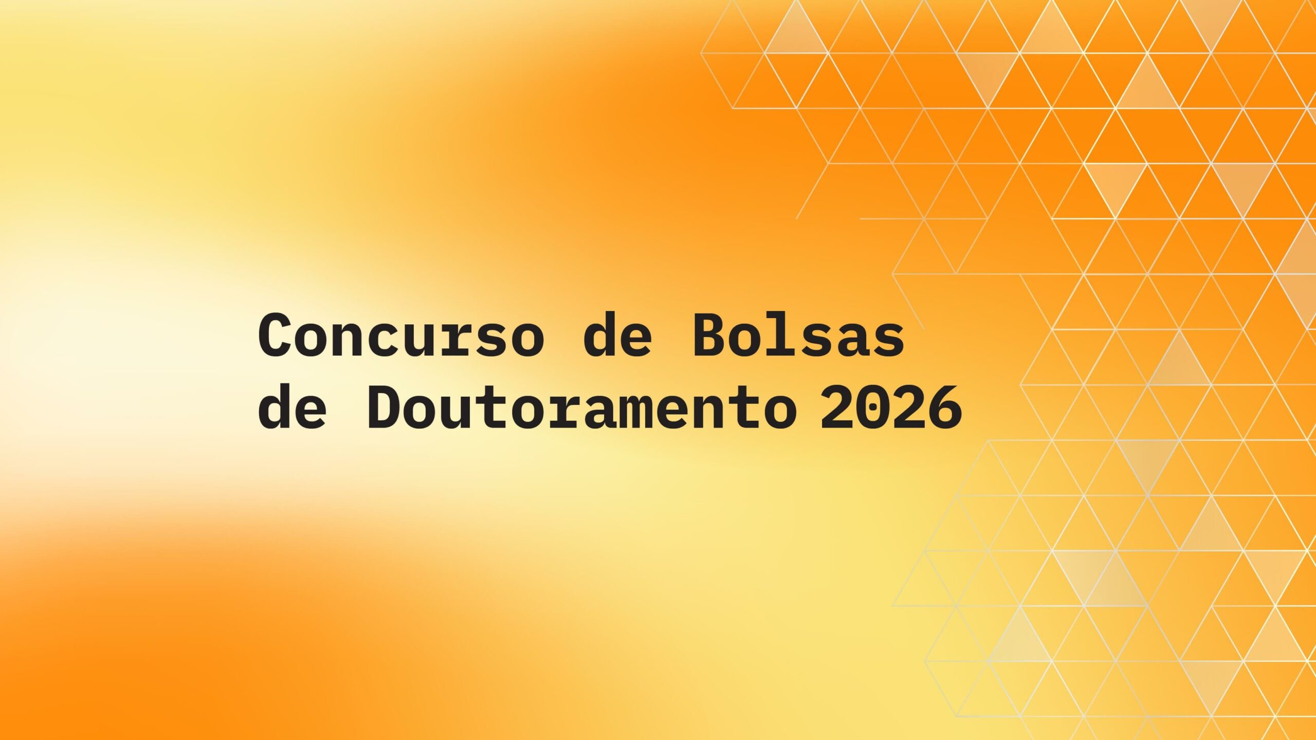 Imagem alusiva ao Concurso de Bolsas de Doutoramento 2026