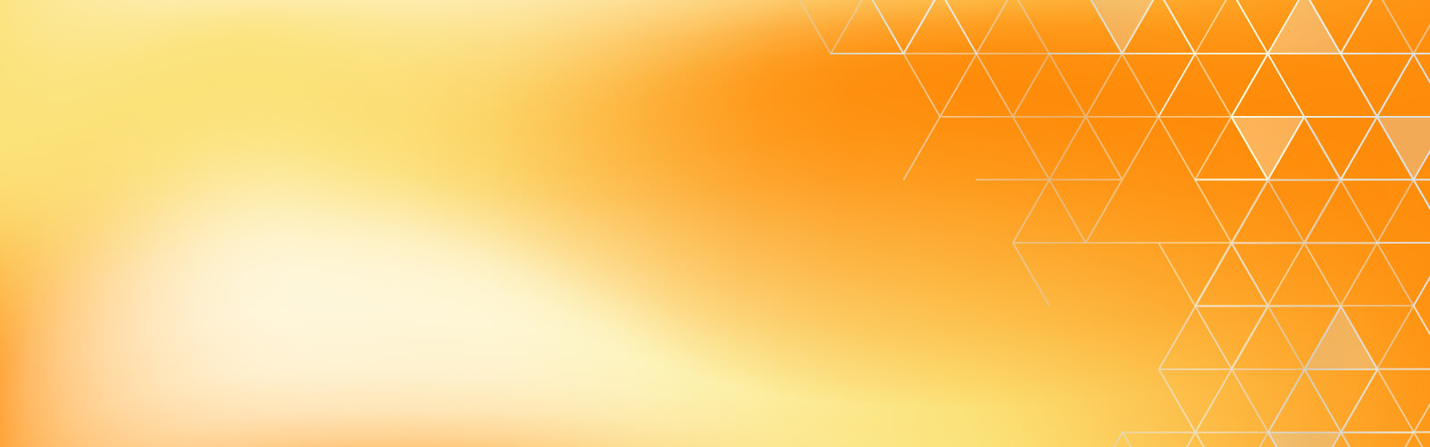 Banner alusivo ao Concurso de Bolsas de Doutoramento 2026